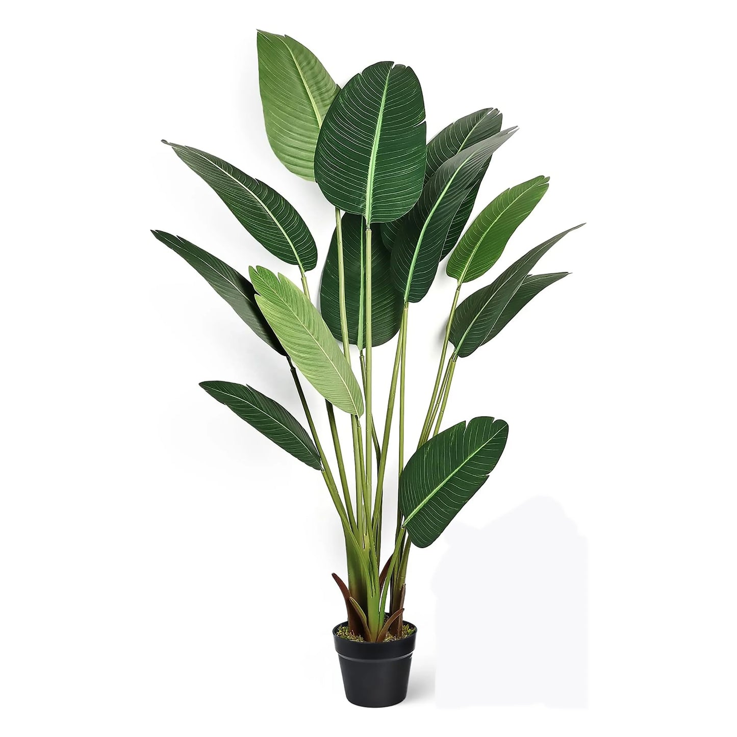 Bird of Paradise Plant 6 Feet 180 CM Faux Traveller Palm Tree High Simulation Plant Bonsai Artificial Green Plant Yooly Plants - YL02281