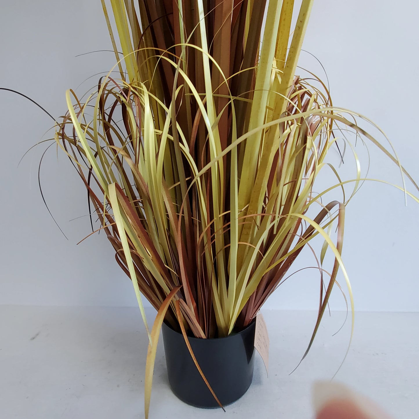 Plastic Timothy Grass Artificial Long Reed Grass Autumn Onion Grass Potted Plants Flower Pot for Home Garden Decor Yooly Plants - YLS0041