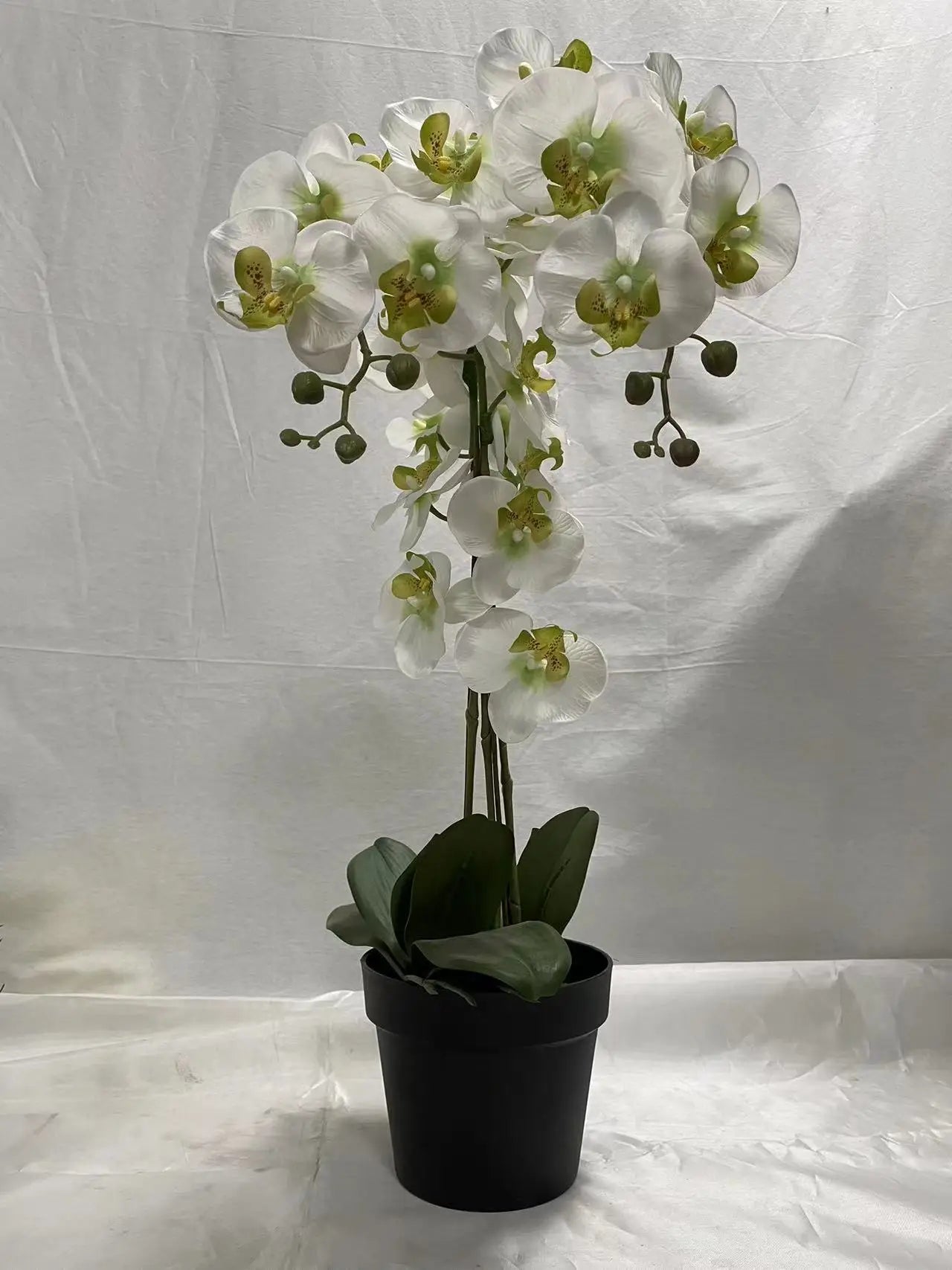 Artificial Plants Artificial Flower Moth Orchid  Factory Wholesale Artificial Flowers for Sale Yooly Plants - YLS10041