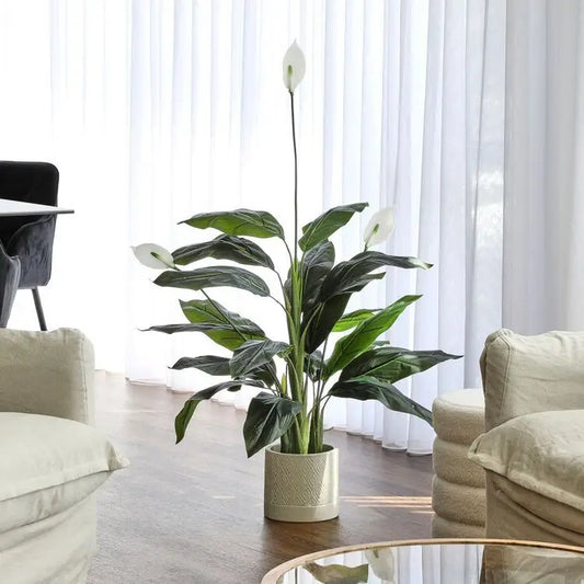 Cheap Faux Green Plant Indoor Big Leaves Fake Spathiphyllum Flower Artificial Peace Lily In Pot For Home Office Restaurant Decor Yooly Plants - YL221102