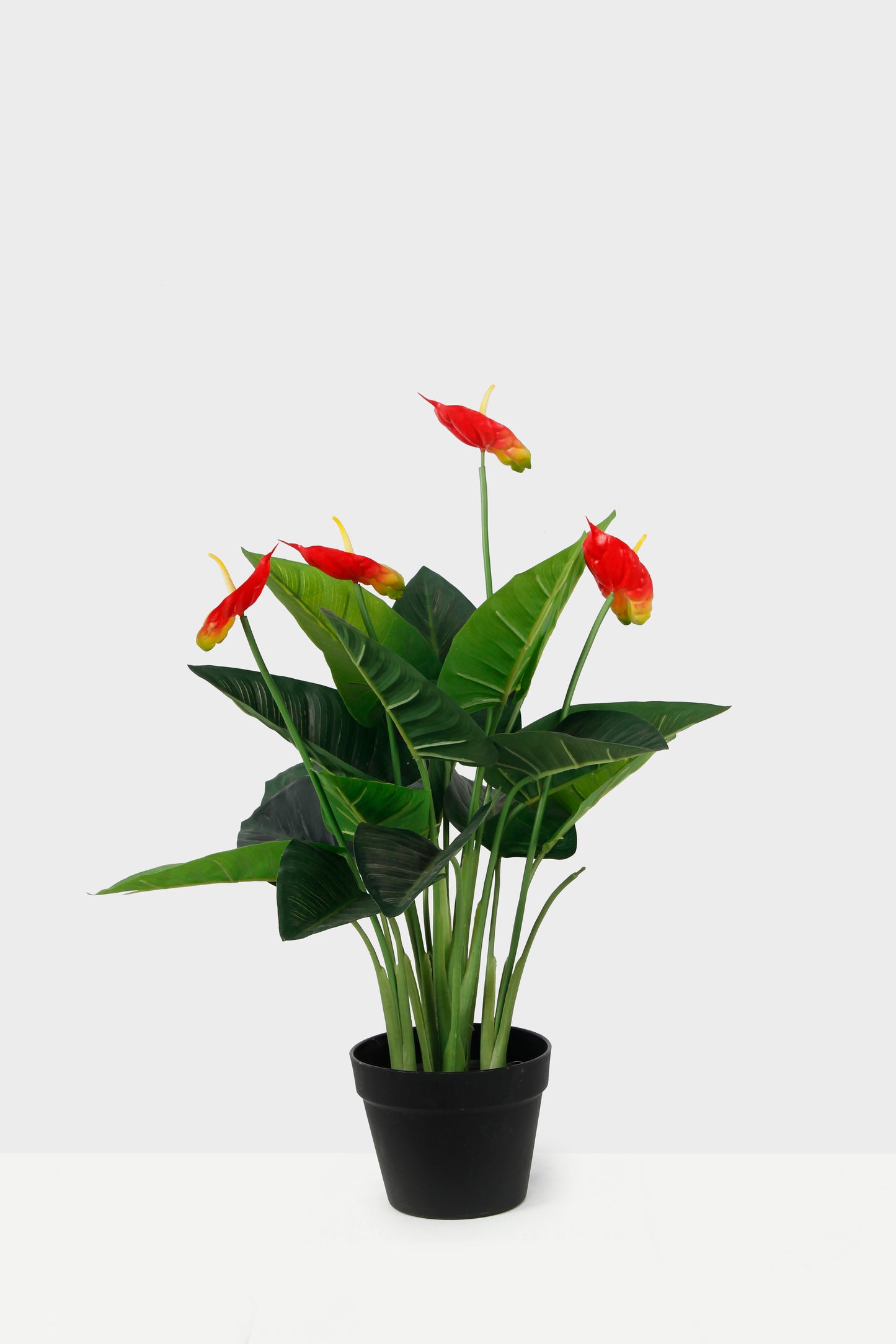 New Faux Bonsai Flowers High Simulation Plastic Potted Plant Artificial Anthurium Andraeanum for Home Office Wedding Decoration Yooly Plants - YL08038