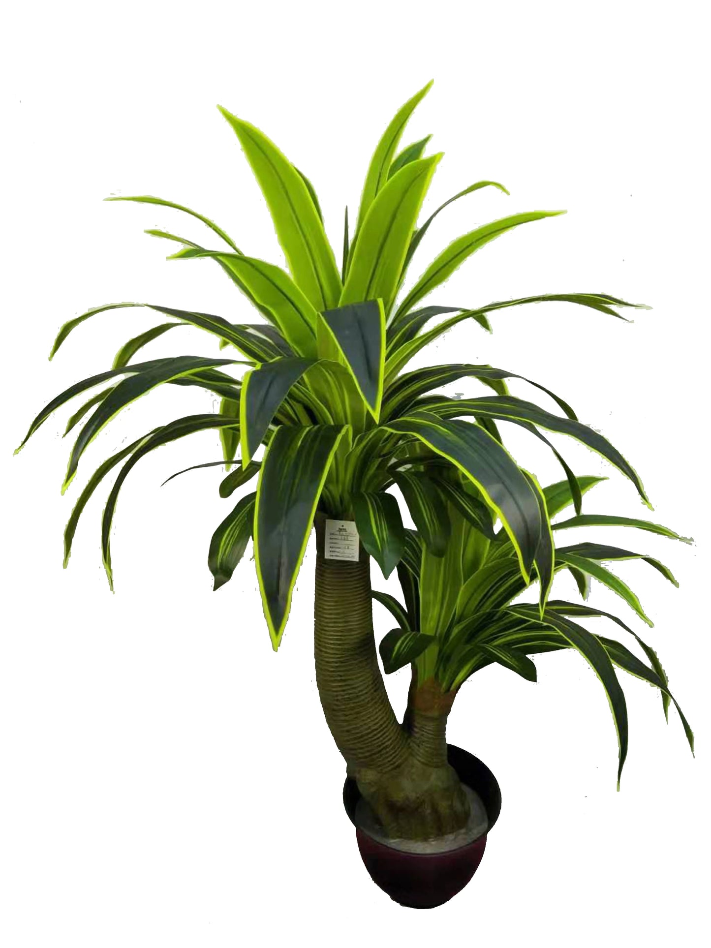 Outdoor Indoor Decorative Flowers And Plants Fake Dracaena Sanderiena Artificial Tree Dracaena Fragrans Yooly Plants - YL07796