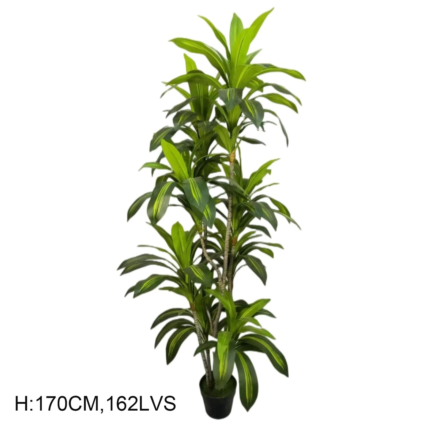 Faux Realistic Potted Bonsai Corn Plant Artificial Dracaena Fragrans Tree Dracaena Sanderiena For Home Decor Yooly Plants - YL07793