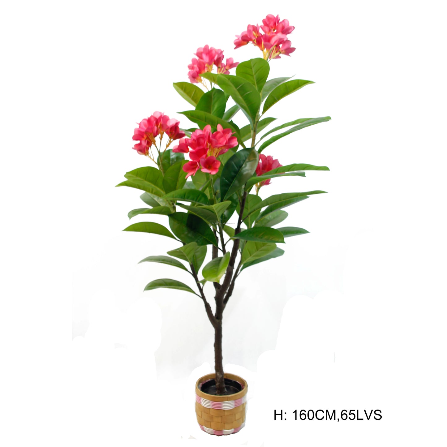 Factory Direct Sale Indoor Delightful Small Faux Bonsai Potted Plants Plumeria Rubra Acutifolia Flower Tree For Home Party Decor Yooly Plants -  YL08054