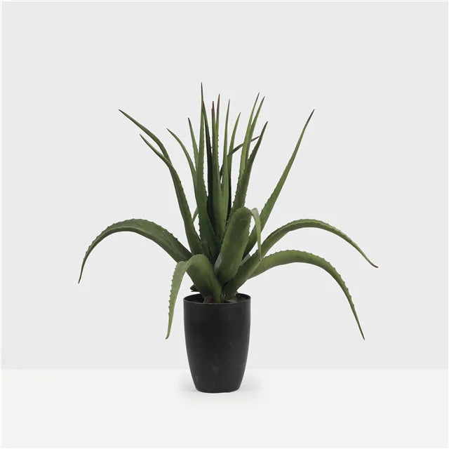 Small Faux Potted Succulent Plant Artificial Aloe Vera Plant For Home Garden Living Room Backyard Decor Yooly Plants - YL04467