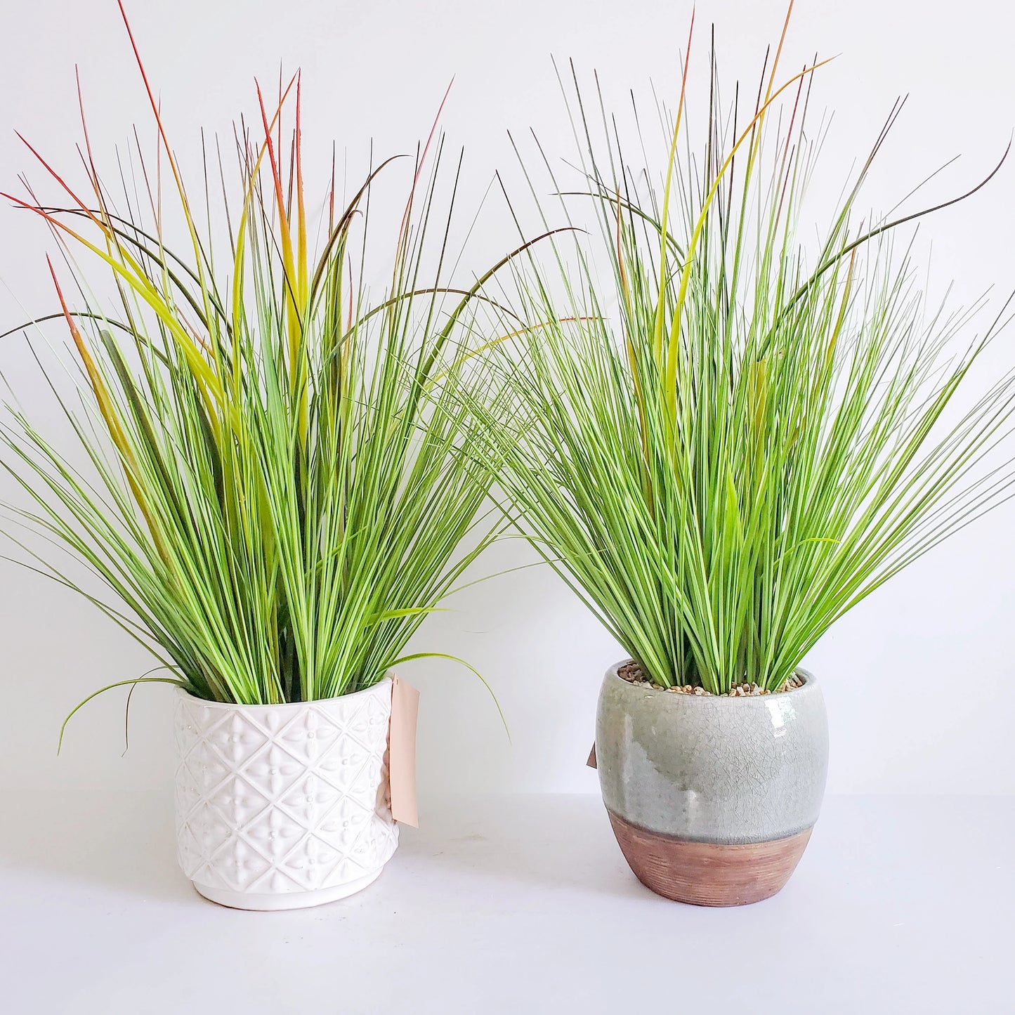 Artificial Potted Onion Grass in Pot Decorative Plastic Faux Greenery Plant for Kid's Room Decor Yooly Plant - YLS0023