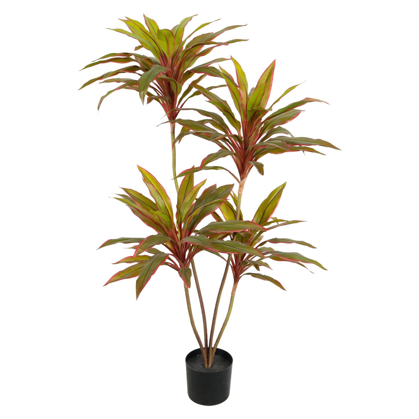 Factory Wholesale Big 180CM 6FT Tall Realistic Tropical Plastic Artificial Plant Faux Cordyline Fruticosa Plant In Pot For Sale Yooly Plants - YL3028