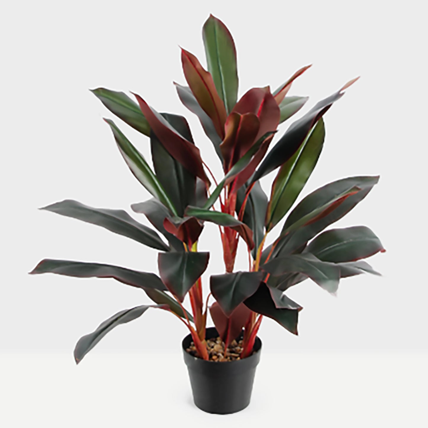 Factory Direct Sales Artificial Potted Bonsai Tree Red Green Leaf Plastic Faux Cordyline Plant For Interior Home Garden Decor Yooly Plants - YL09598