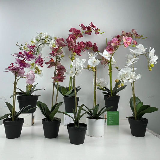 Artificial Plants Artificial Flower Moth Orchid  Factory Wholesale Artificial Flowers for Sale Yooly Plants - YLS10041