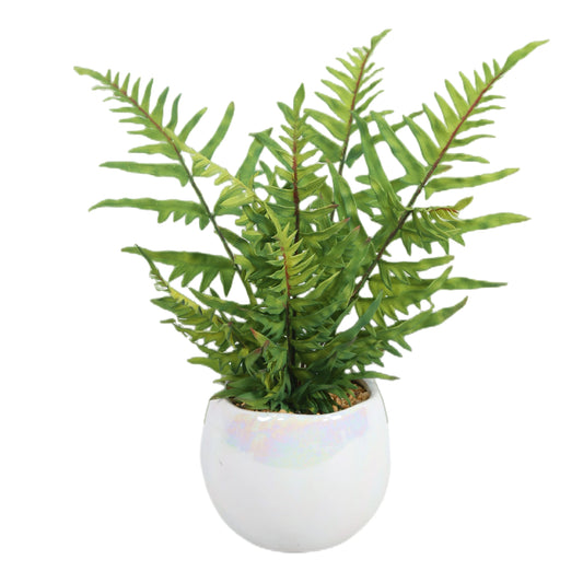 Factory Wholesale Mini Lifelike Faux Houseplants Fern Leaf Small Artificial Potted Plants For Home Office Tabletop Decoration Yooly Plants - YL0628