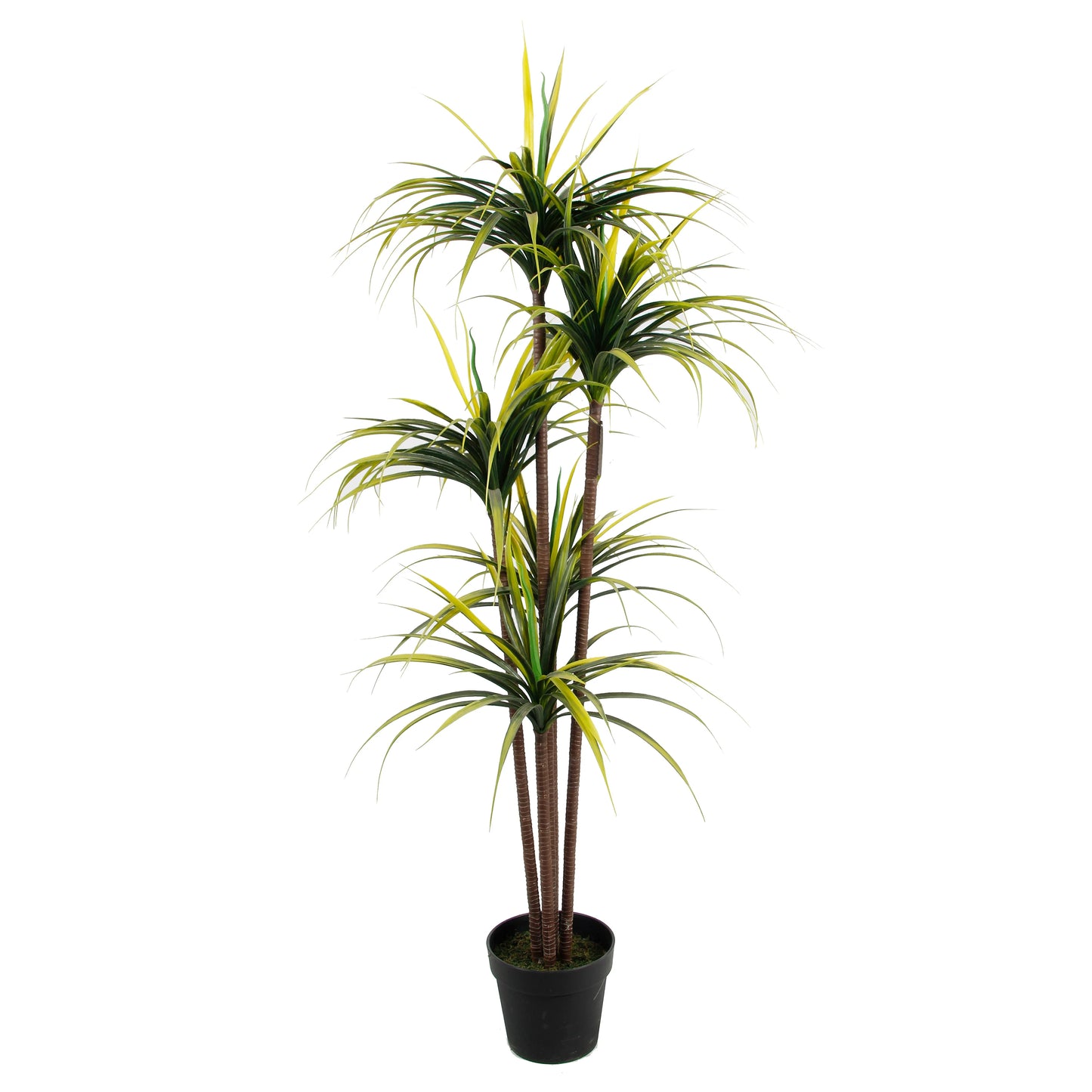 100cm High Simulation Artificial Dragon Blood Tree Potted Green Plant For Hotel Restaurant Bar Home Decoration Yooly Plants - YL3036