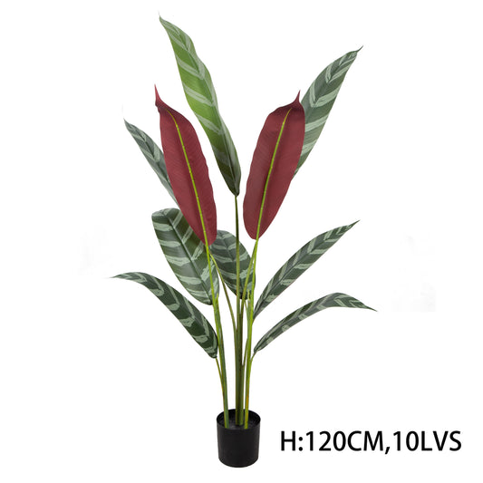 210CM 7FT Faux Green Plant Fake Calathea Plant High Quality Artificial Plant In Pot For Home Office Interior Decor Yooly Plants - YL0816