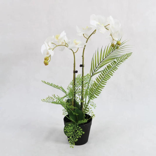 Factory Home & Garden Decorative Faux White Butterfly Orchid Artificial Potted Orchid Flower Artificial Plants Distributor Yooly Plants - YL628