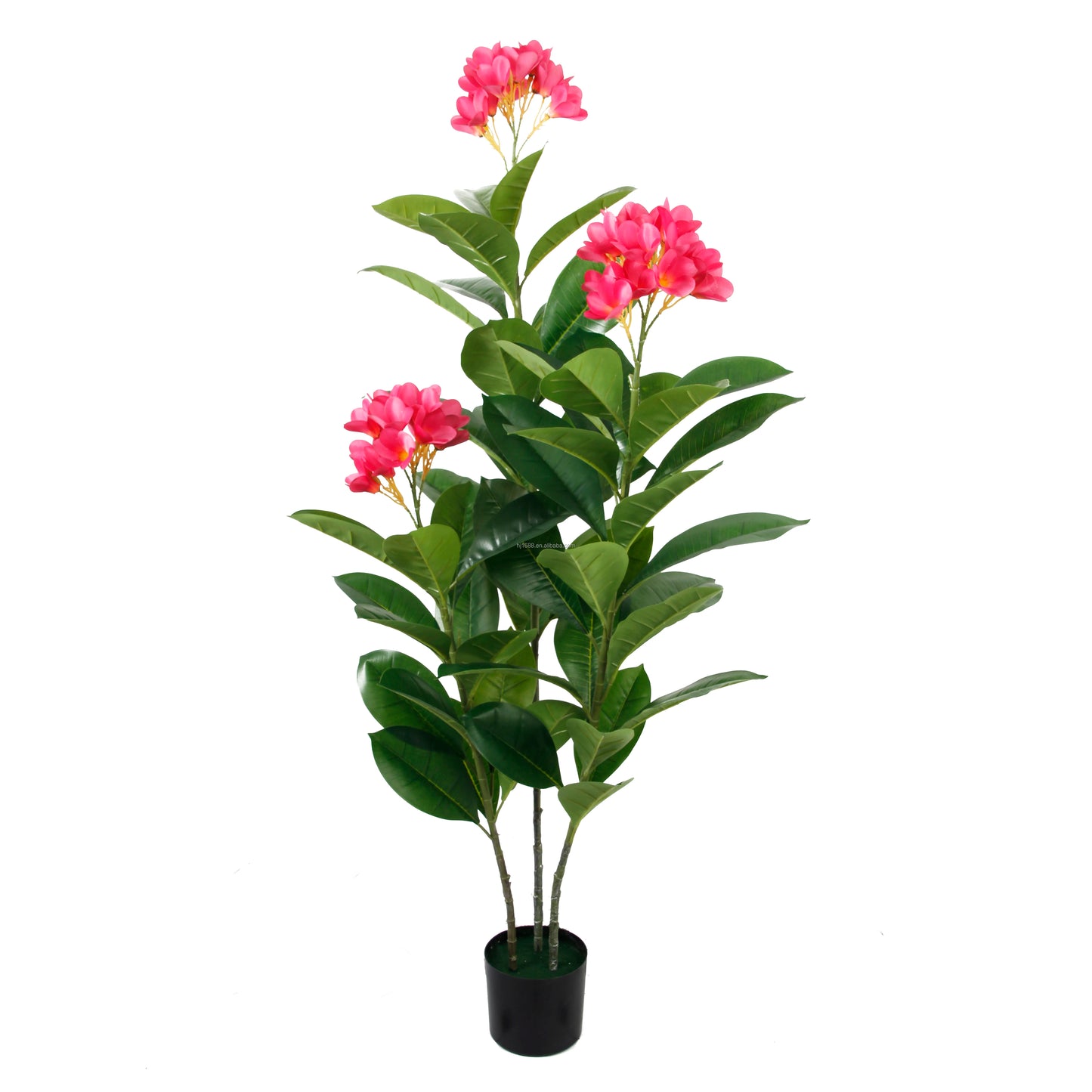 Factory Direct Sale Indoor Delightful Small Faux Bonsai Potted Plants Plumeria Rubra Acutifolia Flower Tree For Home Party Decor Yooly Plants -  YL08054