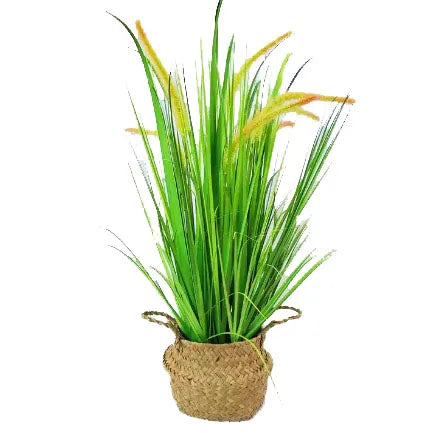 Artificial Colors Potted Dogtail Onion  Grass Desk Decor Faux Plants Greenery Decor for Home Office Wedding Indoor Yooly Plant - YLS0062