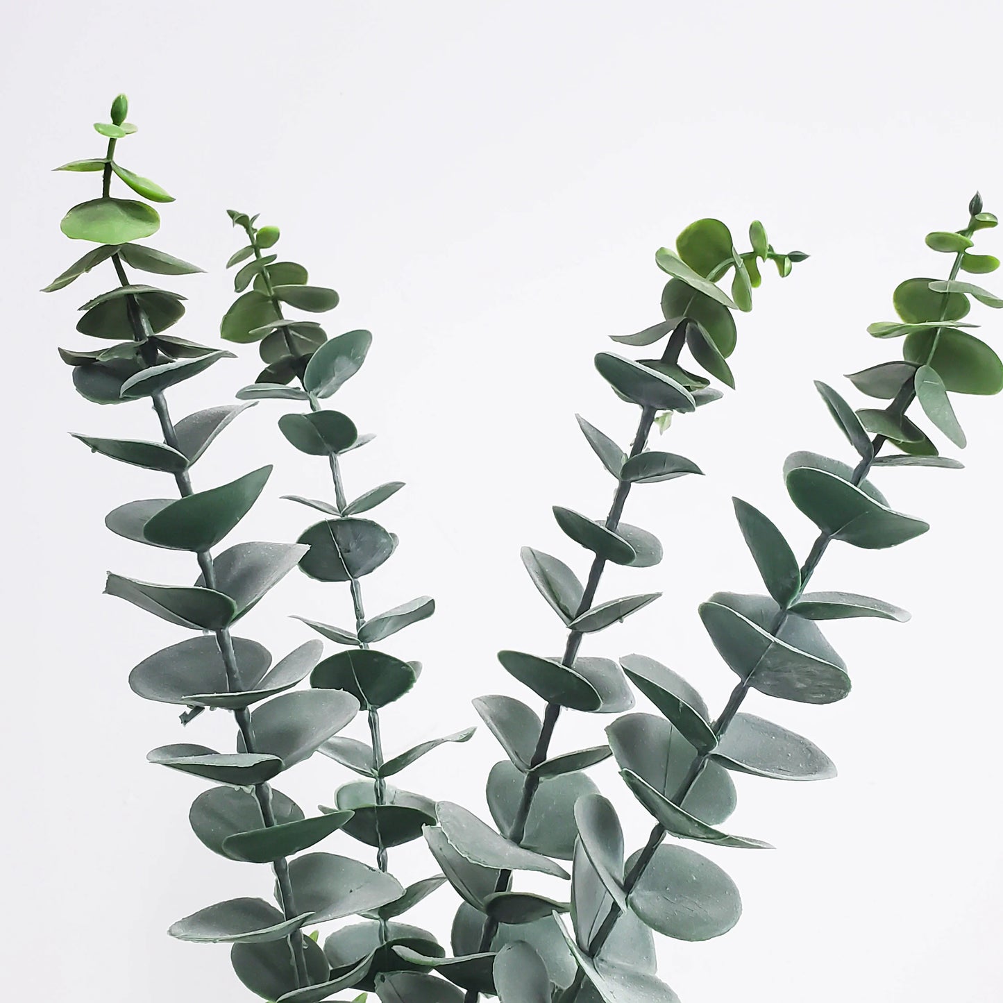 Artificial Eucalyptus Leaves Potted Plant Eucalyptus Natural Green Leaves Dried Eucalyptus Leaves for Home Decorations Yooly Plants - YLS0014