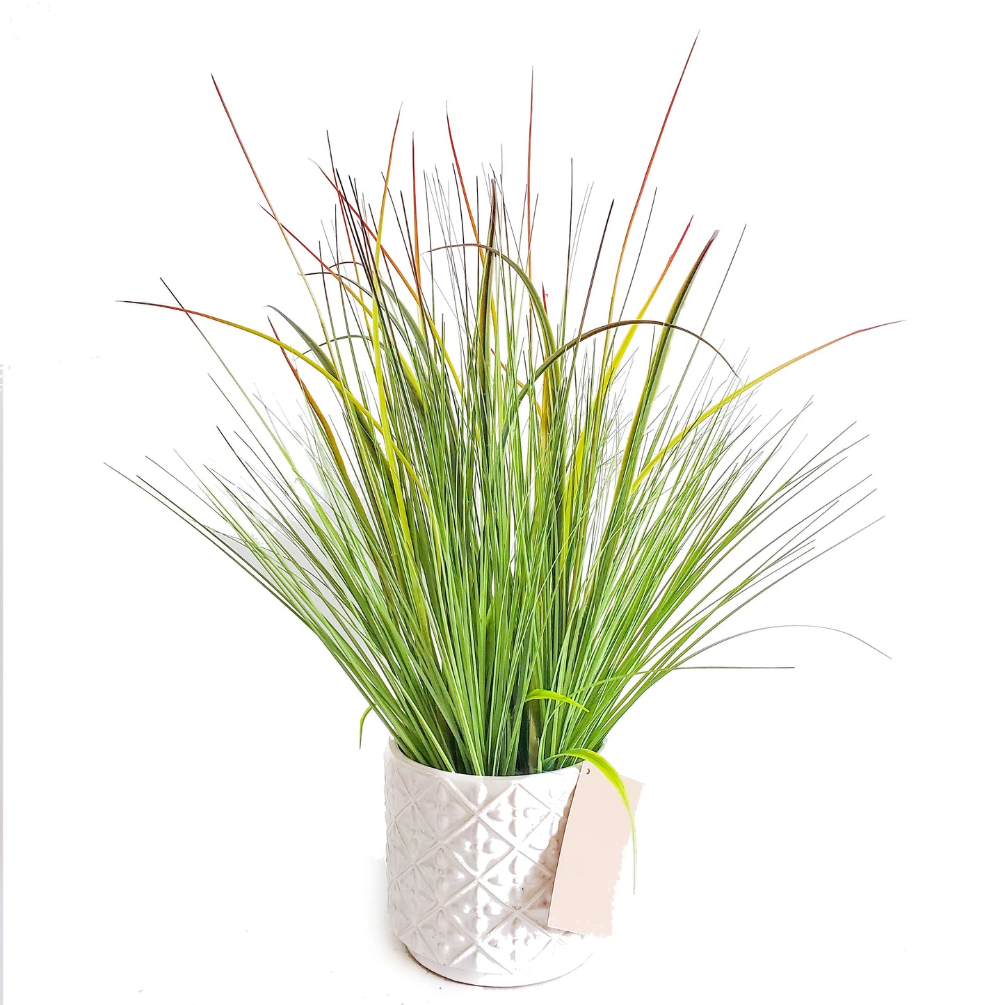 Artificial Potted Onion Grass in Pot Decorative Plastic Faux Greenery Plant for Kid's Room Decor Yooly Plant - YLS0023