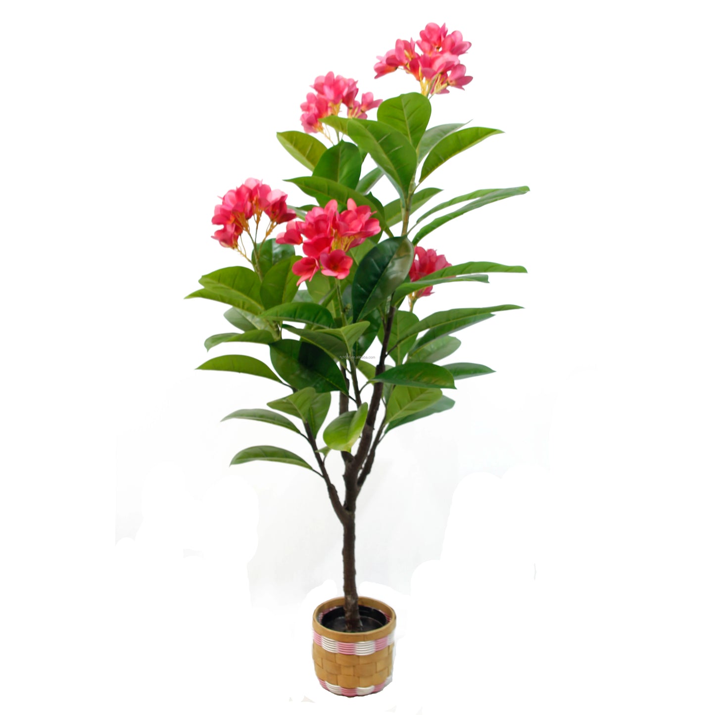 Factory Direct Sale Indoor Delightful Small Faux Bonsai Potted Plants Plumeria Rubra Acutifolia Flower Tree For Home Party Decor Yooly Plants -  YL08054