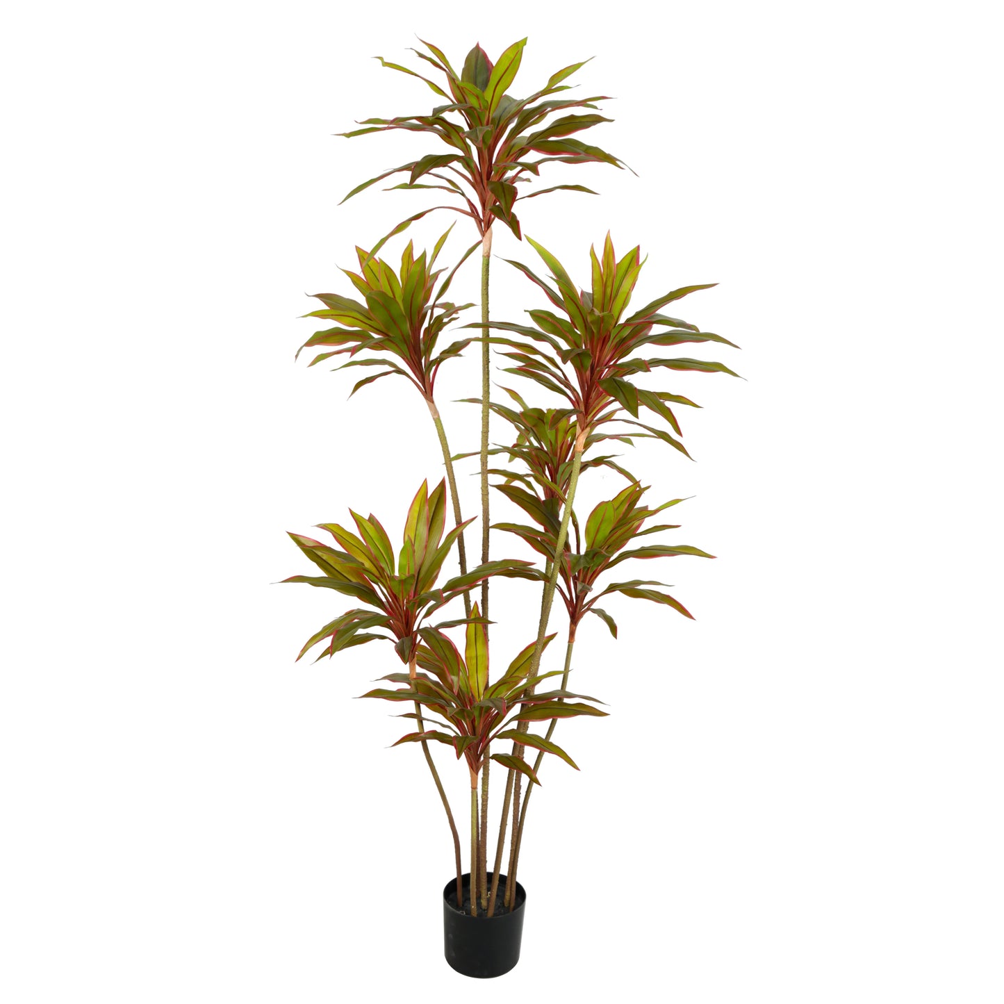 Factory Wholesale Big 180CM 6FT Tall Realistic Tropical Plastic Artificial Plant Faux Cordyline Fruticosa Plant In Pot For Sale Yooly Plants - YL3028