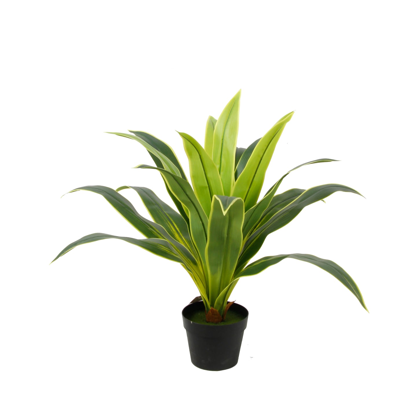 Faux Realistic Potted Bonsai Corn Plant Artificial Dracaena Fragrans Tree Dracaena Sanderiena For Home Decor Yooly Plants - YL07793