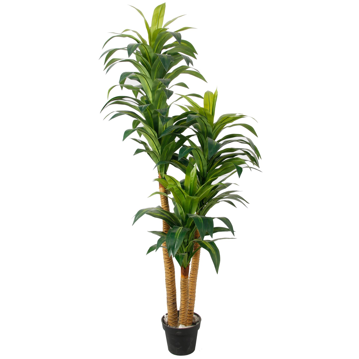 Outdoor Indoor Decorative Flowers And Plants Fake Dracaena Sanderiena Artificial Tree Dracaena Fragrans Yooly Plants - YL07796