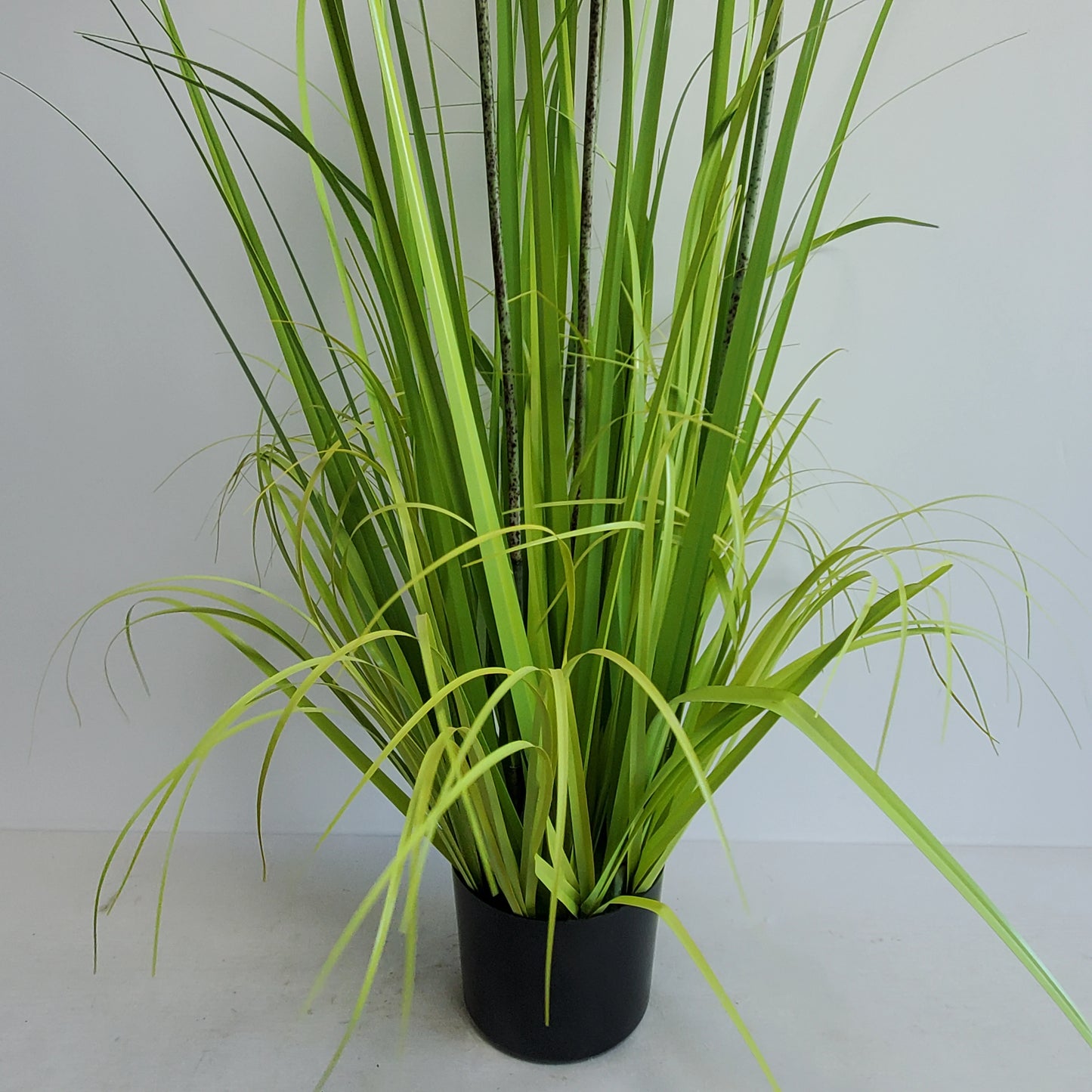 Artificial Flowers Decoration Simulation Reed Grass Flower Arrangement with Artificial Reed Green Plants Potted Plants Yooly Plants - YLS0039