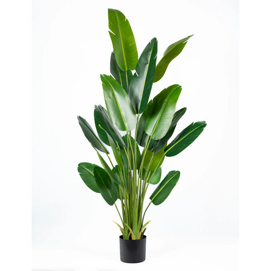 Faux Potted Large Leaf Artificial Traveller's Banana Tree 220CM Tall Plastic Artificial Plant for Outdoor Room Yooly Plants - YL02288