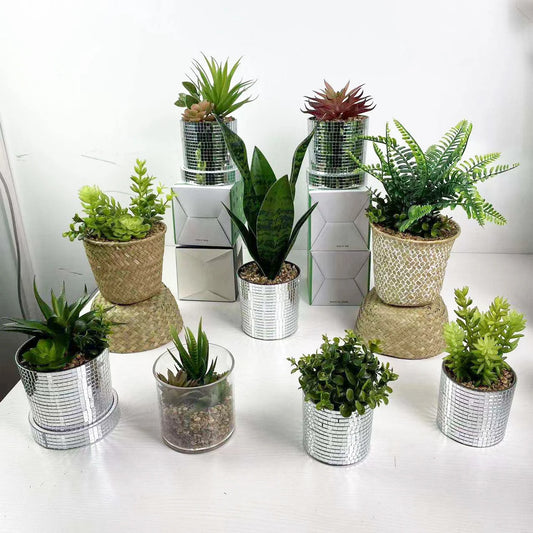 Artificial Plants Artificial Potted Plants  High-quality Home Decoration Succulent Potted Plants Yooly Plant - YLS10024