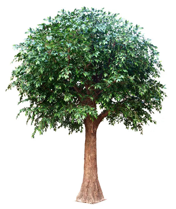 Factory Wholesale Big Faux Green Tree Large Ficus Plantas Artificiales Artificial Banyan Tree for Restaurant Hotel Event Decor Yooly Plants - YL0688