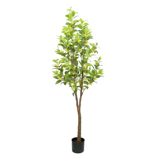 Factory Direct Sale 180CM 6FT Faux Flower Tree Evergreen Artificial Osmanthus Fragrans Sweet Olive Tree For Home Office Decor Yooly Plants - YL0708