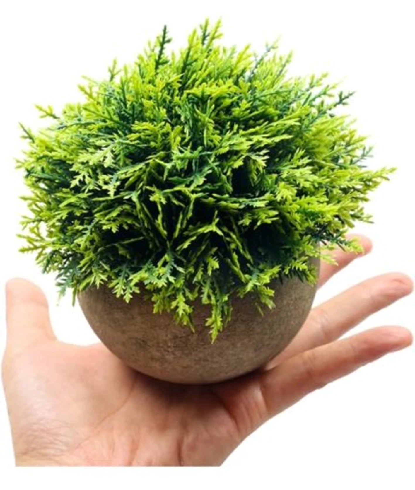 Mini Lifelike Faux Ornamental Plants Small Artificial Potted Plants For Office Desktop Decoration Yooly Plants - YL0628