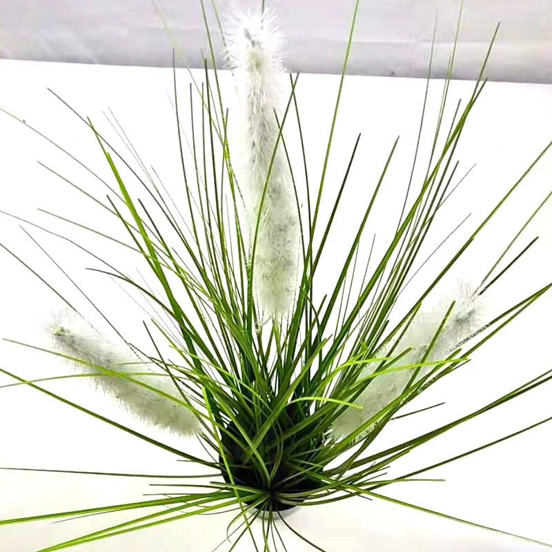 Most Popular Realistic Indoor Decorative Artificial Pvc Onion Grass Dog Tail Grass Plant artificial plant wholesale Yooly Plant - YLS0048