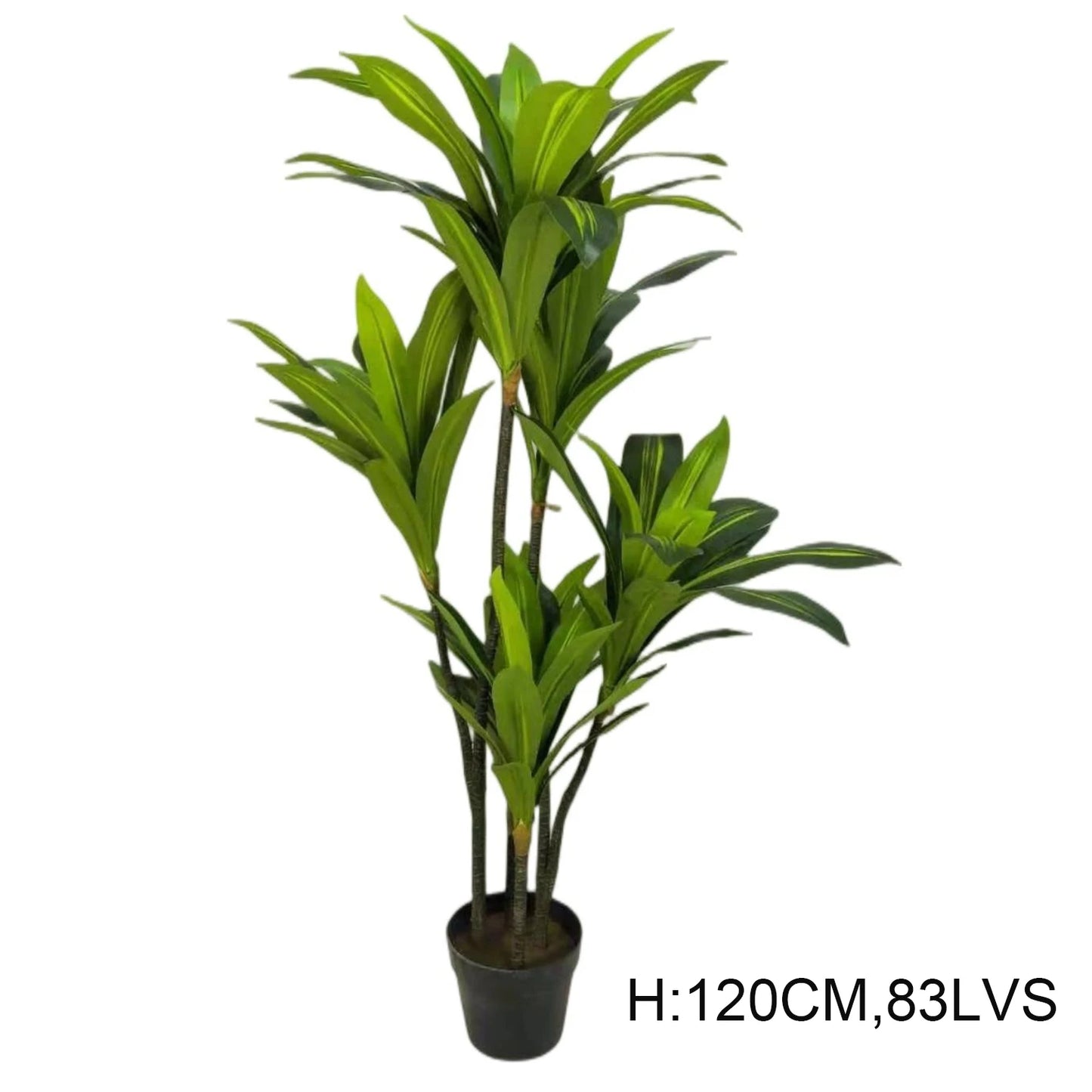 Outdoor Indoor Decorative Flowers And Plants Fake Dracaena Sanderiena Artificial Tree Dracaena Fragrans Yooly Plants - YL07796