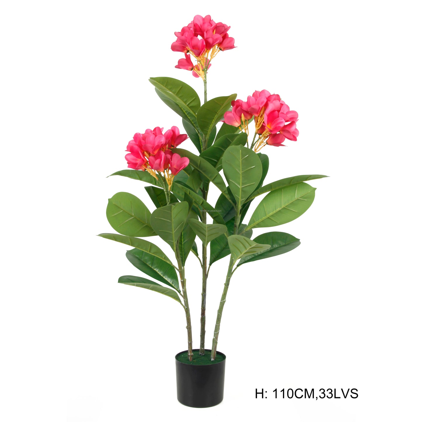 Factory Direct Sale Indoor Delightful Small Faux Bonsai Potted Plants Plumeria Rubra Acutifolia Flower Tree For Home Party Decor Yooly Plants -  YL08054