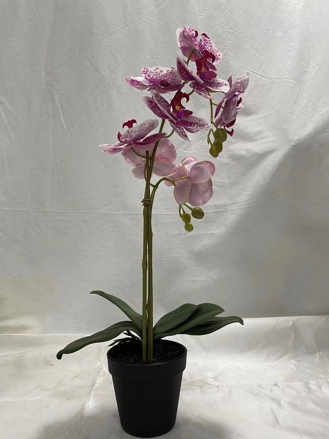 Artificial Plants Artificial Flower Moth Orchid  Factory Wholesale Artificial Flowers for Sale Yooly Plants - YLS10041