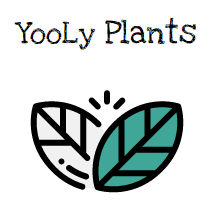 Yooly Artificial Plants