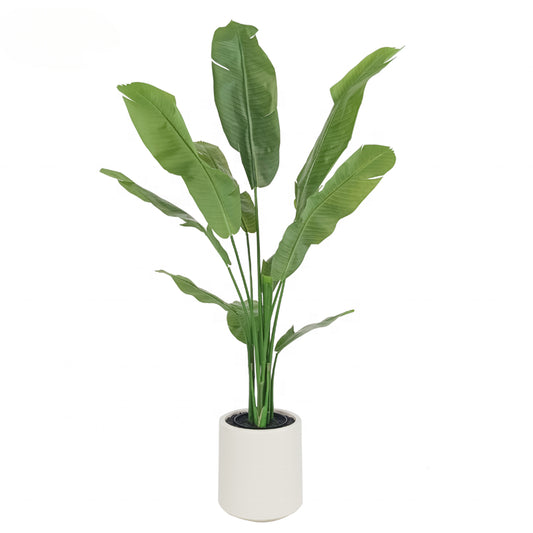 5ft 150cm 59"Japense Palm Yooly Plants Tree Palm Tree Shredder Double Traveller's Palm Tree for Shipping Mall Supermarket Sale - YL208042