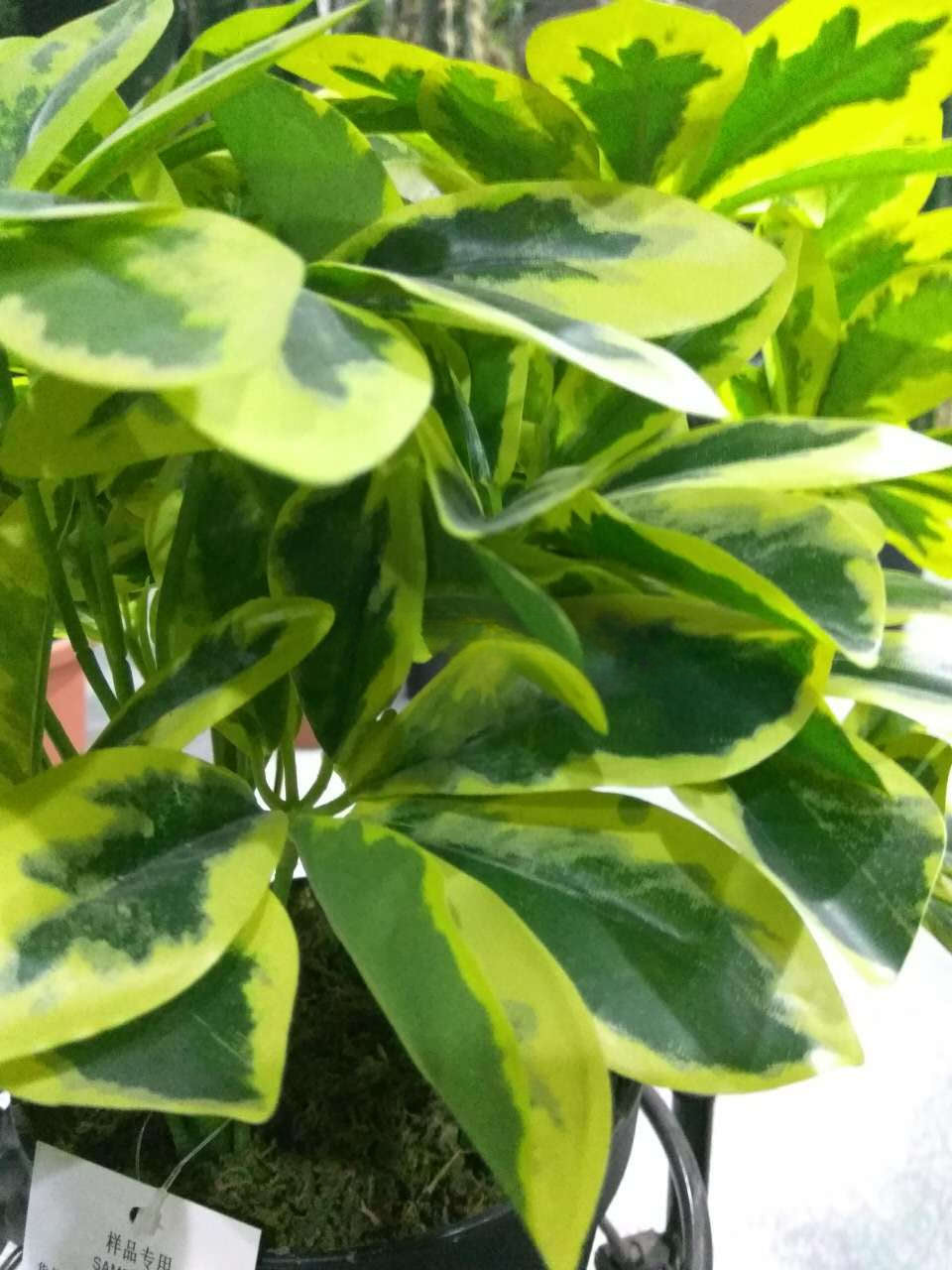 Factory Cheap Price Seven Star Leaf Plant Fake Bonsai Artificial Schefflera Tree Green Tree For Home Backyard Decor Yooly Plants - YL07777