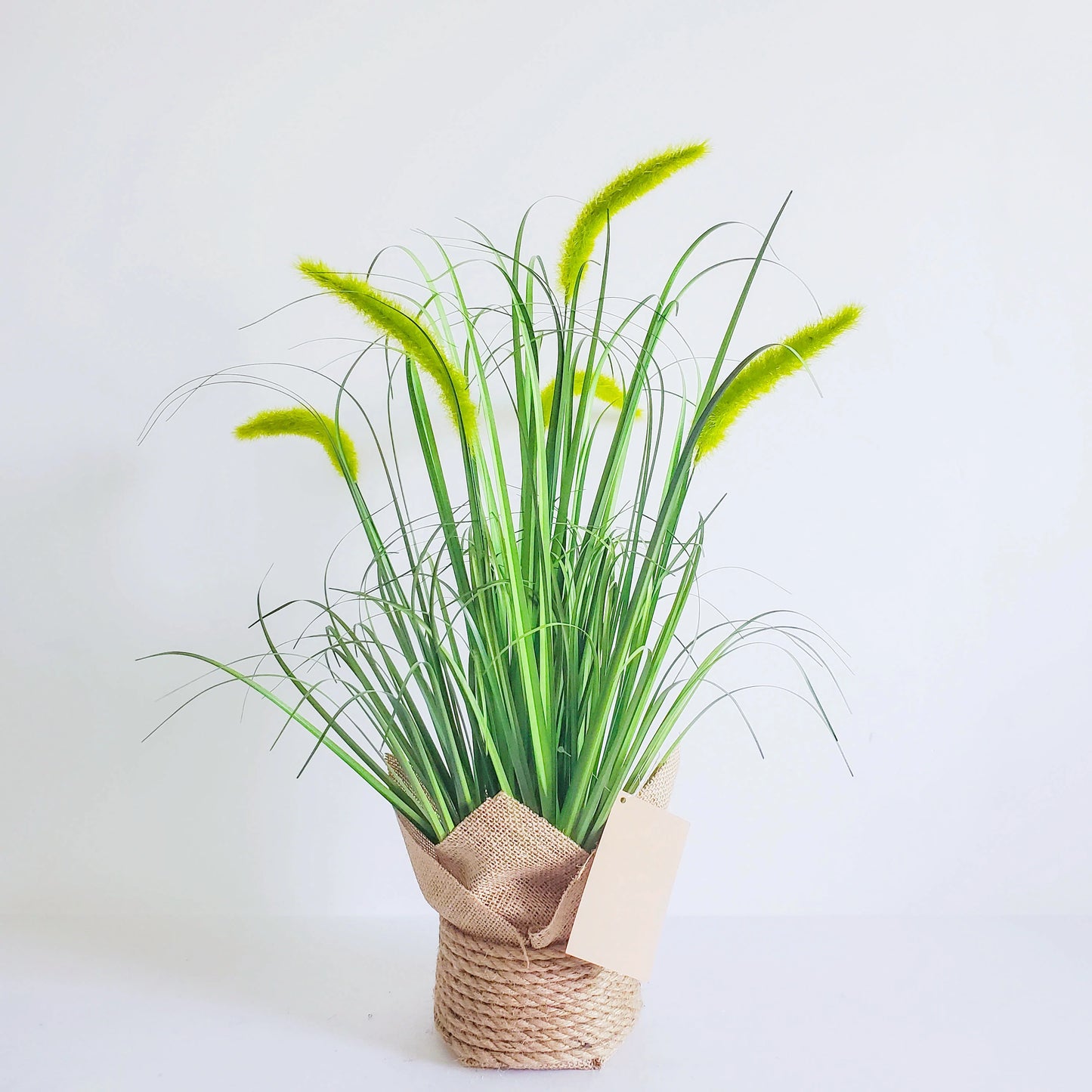 Artificial Potted setaria Grass Greenery Onion Grass Plant for for Home Office Room Decor setaria blume Yooly Plant - YLS0020