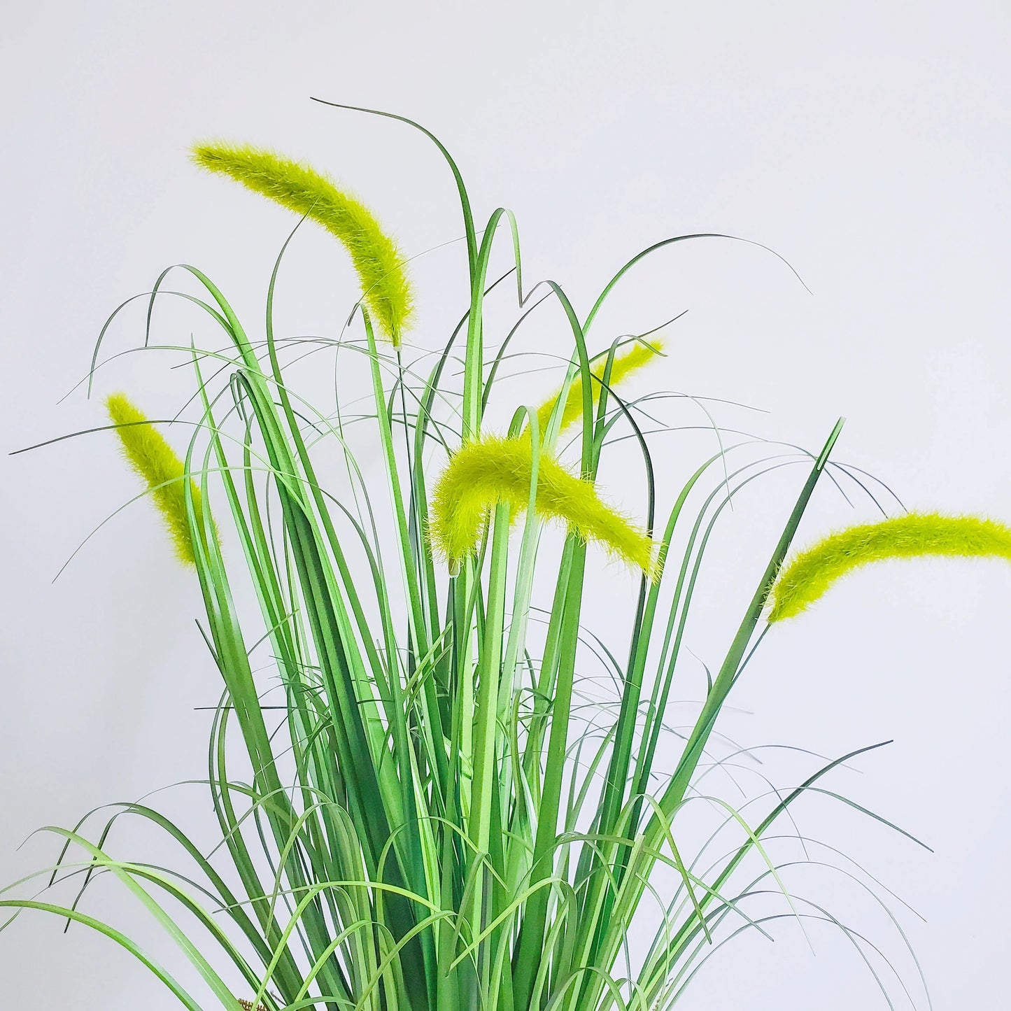 Artificial Potted setaria Grass Greenery Onion Grass Plant for for Home Office Room Decor setaria blume Yooly Plant - YLS0020