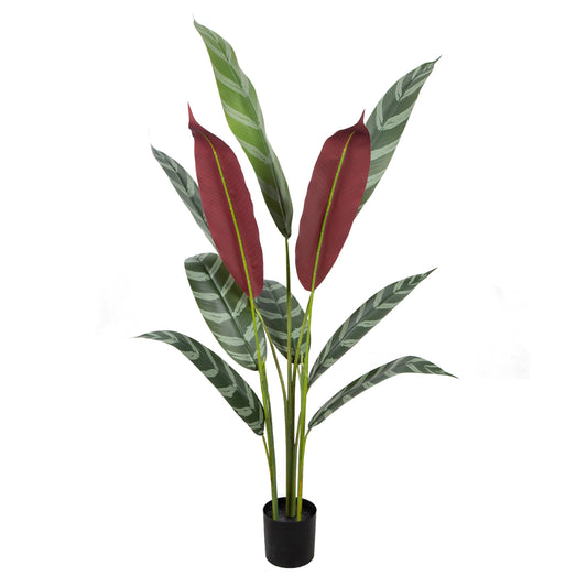 120/150/180/210CM 4/5/6/7FT Big Plastic Leaves Potted Faux Green Tree Artificial Calathea Plant For Indoor Home Office Decor Yooly Plants - YL0815