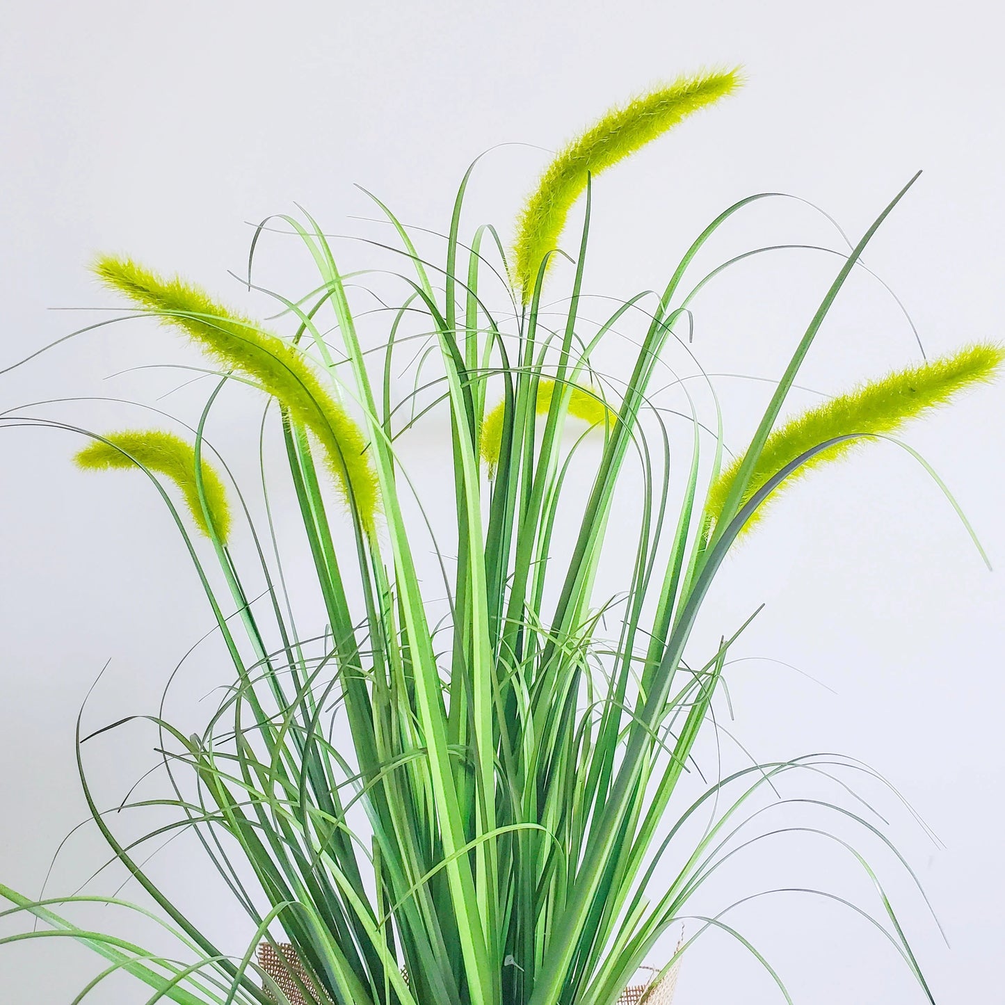 Artificial Potted setaria Grass Greenery Onion Grass Plant for for Home Office Room Decor setaria blume Yooly Plant - YLS0020