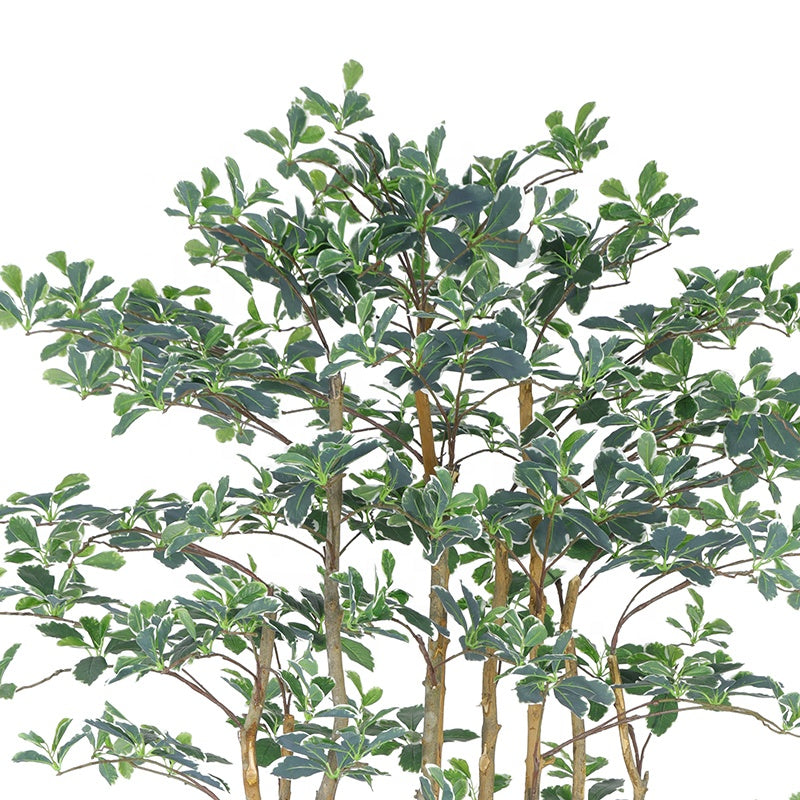 Wholesale Real Touch 180cm 6ft Schefflera Plastic Plant Artificial Tr Yooly Artificial Plants