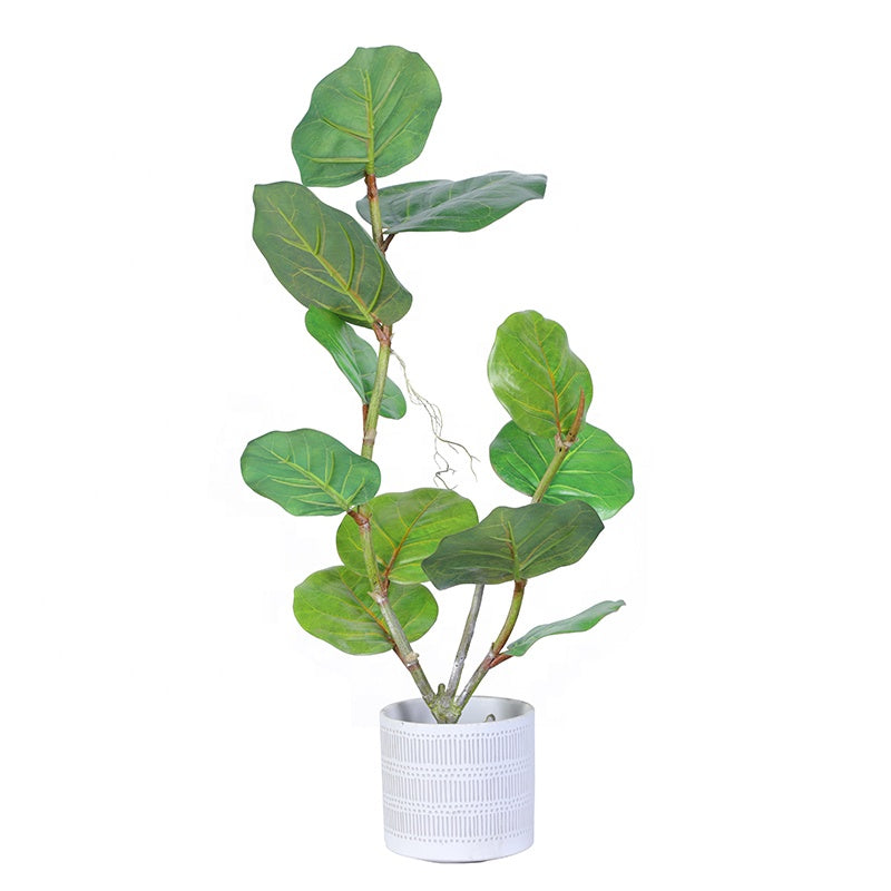 Customization  Multi Sized Artificial Bonsai Tree Decor Artificial Plant Artificial Coccolobus Uvifera Plant Yooly Plants - YL025068