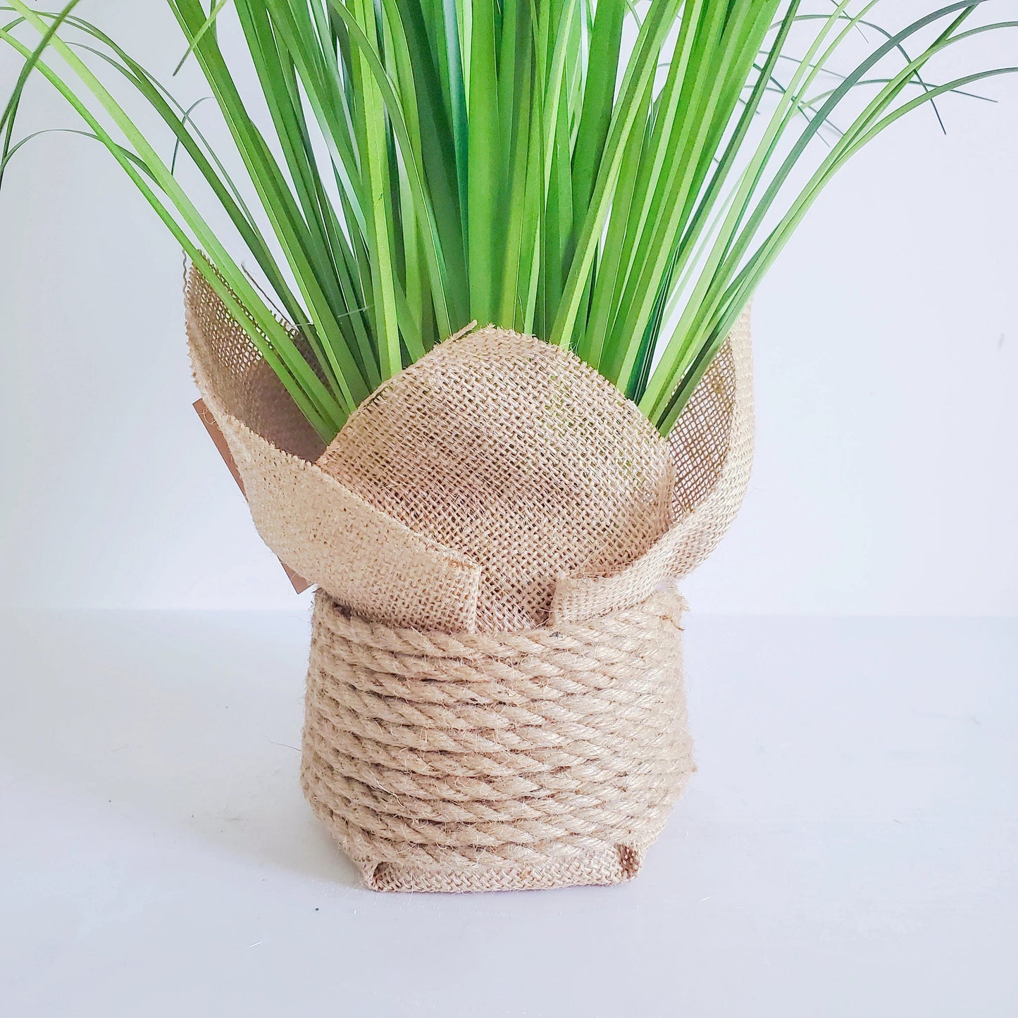 Artificial Potted setaria Grass Greenery Onion Grass Plant for for Home Office Room Decor setaria blume Yooly Plant - YLS0020