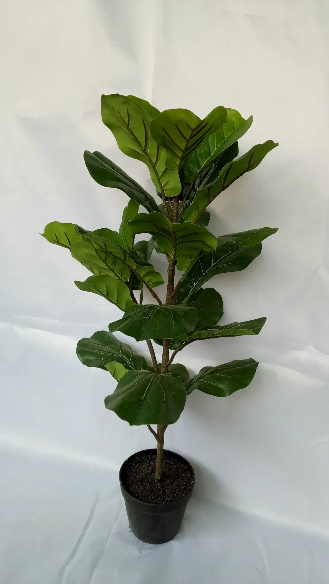 Indoor And Outdoor Decorative Greenery Leaves Ficus Tree Artificial Plant Ficus Fiddle Leaf Fig Tree Yooly Plants - YL08143