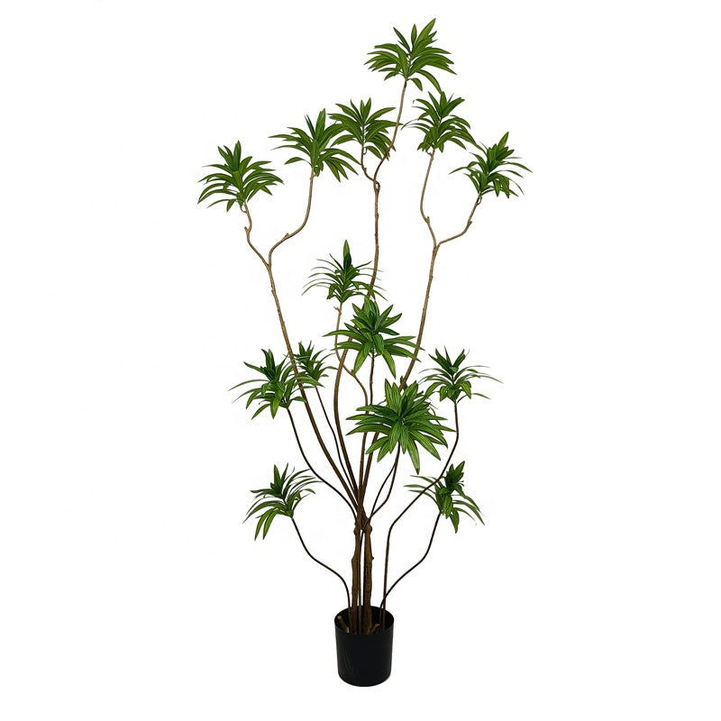 Professional Synthetic Multi Sized Artificial Bonsai Tree Dracaena Plant Artificial Dracaena Reflexa Yooly Plants - YL025023