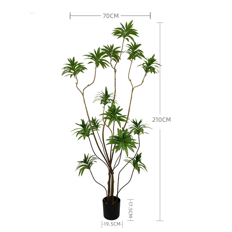 Professional Synthetic Multi Sized Artificial Bonsai Tree Dracaena Plant Artificial Dracaena Reflexa Yooly Plants - YL025023